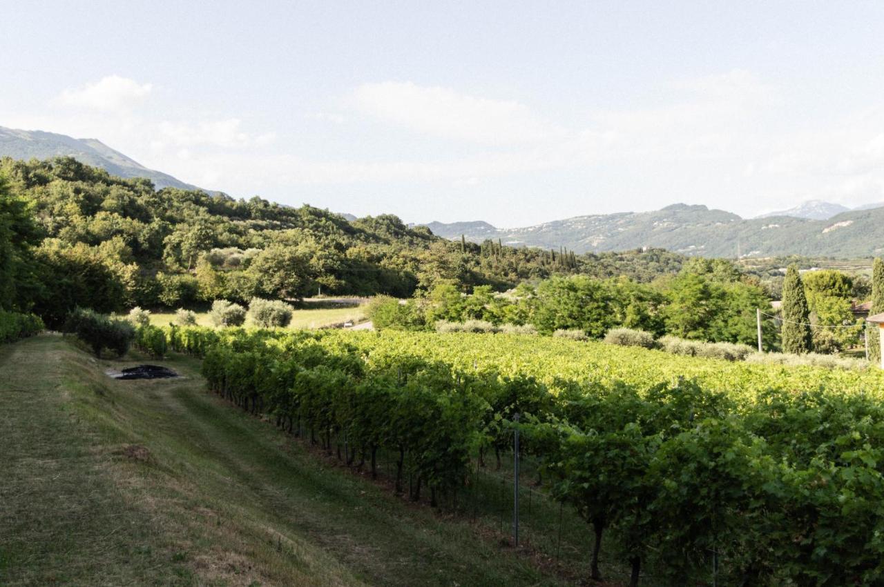 Agriturismo Ca' Cristane Rivoli Veronese Exterior foto